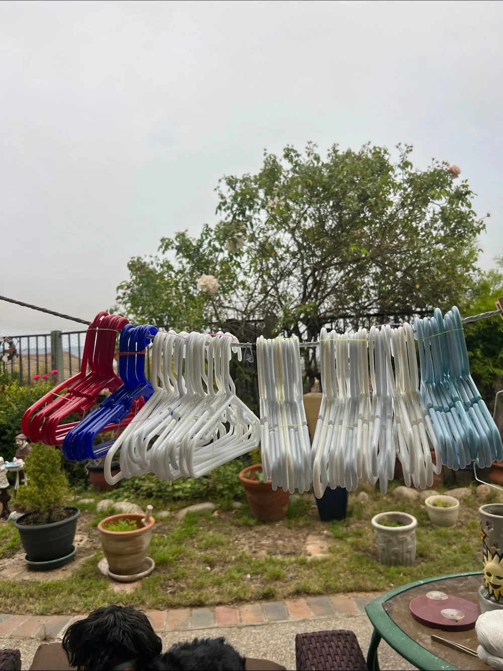 Assorted Plastic Clothing Hangers - White, Blue, Red approx 75 kids hangers
